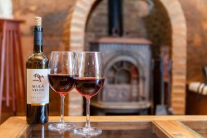 Quinta Goncalves mit Kamin für entspannte Abende bei einem Glas Wein