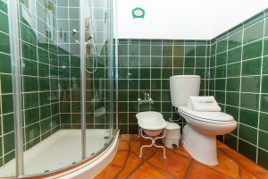 Quinta Goncalves stilvolles Bad mit Dusche