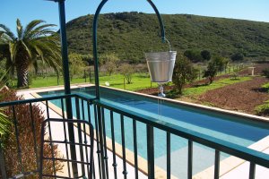 Blick vom Sitzplatz zum Pool