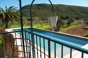 Villa do Paraiso Blick auf den Pool und in den Obstgarten