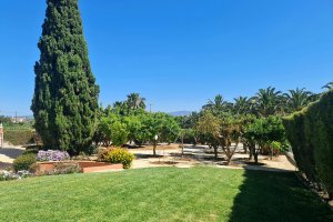 Mediterraner Garten mit Orangen- und Zitronenbäumen in der Villa Mar á Vista nahe Lagos