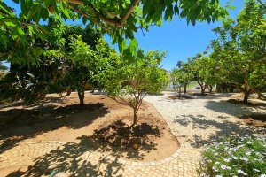 Garten mit Orangen- und Zitronenbäumen der Villa Mará Vista