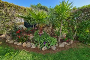 Detail Garten der Villa Mar á Vista Algarve-Lagos-Vale da Lama